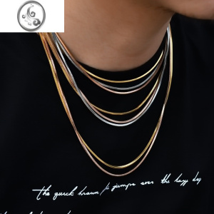 JiMisnake潮人基本款方蛇骨链男女锁骨项链立体细刀片蛇链街头酷配饰