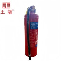 王龍 手提式干粉灭火器 4千克 新国标 具