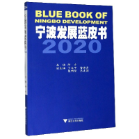 音像宁波发展蓝皮书(2020)徐方,于立平,鲁焕清,童明荣,李建国 编