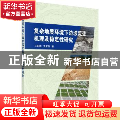 正版 复杂地质环境下边坡流变机理及稳定性研究 王新刚,王家鼎著