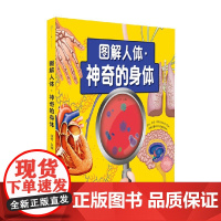 图解人体 神奇的身体 汉竹 编著 科普百科