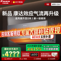 大金(DAIKIN)空调TXE126ZC-H1 2025年新品大1匹新1级能效变频康达效应气流 自动清洁 WIFI智控