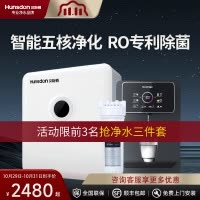 汉斯顿全屋净水器管线套装ro反渗透家用直饮厨房自来水过滤机