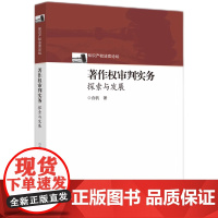 著作权审判实务:探索与发展
