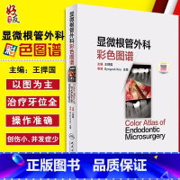 [正版] 显微根管外科彩色图谱 王捍国主编 人民卫生出版社 9787117230278