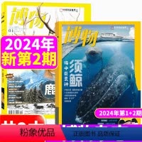 [正版]新期2本博物杂志2024年1+2月 共2本打包 专题:鹿/须鲸 中国国家地理青少年版 (博物典藏版20