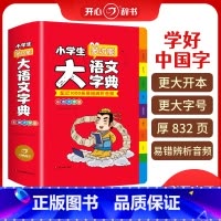 [正版]小学生大语文词典小多功能大全四字彩图彩色版中华现代汉语词语工具书中小学字典儿童成语训练大字典 湖南教育出版社