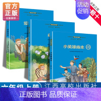 [3册]快乐读书吧(六年级上册) 小学六年级 [正版]赣州专版快乐读书吧六年级上册江西高校出版童年小英雄雨来爱的教育丰子