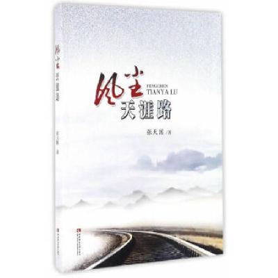 正版新书]风尘天涯路张天国9787562181996