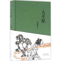 正版新书]大平原高建群9787530216095