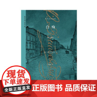 白痴 陀思妥耶夫斯基 著 小说