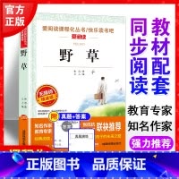 野草 鲁迅著作 [正版]鲁迅经典文学散文诗集野草 小学生课外阅读书籍 四五六七年级中小学生文学名著阅读书目青少年儿童文学