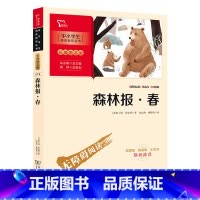 森林报 春 [正版]森林报 春(中小学生课外阅读指导丛书)彩插无障碍阅读 智慧熊图书
