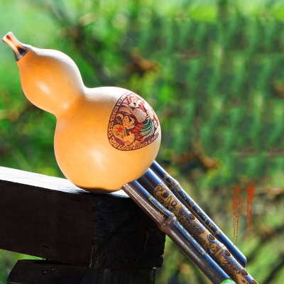 云南葫芦丝乐器初学降b调c调小学生紫竹专业演奏型儿童胡芦丝乐器