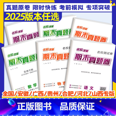 ------------▹▹⭐全国版任选⭐◃◃------------ 七年级下 [正版]2025期末真题卷七八年级上册