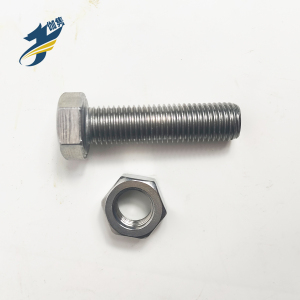 伽隽 304不锈钢六角螺栓 M16*60 / 套