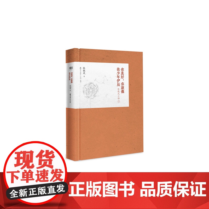 你真好,就像我少年伊辰:张晓风小语(下)