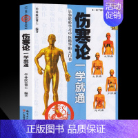 [正版]伤寒论一学就通 中医入门零基础 伤寒论白话解 全文彩图 临床知识书籍 张仲景 中医基础理论 中医四大名著 伤寒杂