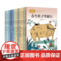 宇宙的另一边 三年级下册 陈诗哥著 语文教材配套阅读 课外读物 课文作家作品系列 人民教育出版社人教版