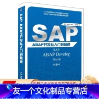 [友一个正版] SAP ABAP开发从入门到精通 金圣俊 CTS 数据类型 数据库 模块化程序 内表 调试 ABA