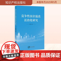 竞争性国企混改法治化研究 殷书建 著 法学理论社科 正版图书籍 知识产权出版社