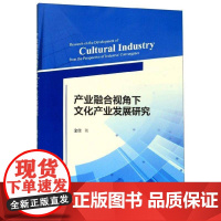 产业融合视角下文化产业发展研究 余佳 文化书籍正版