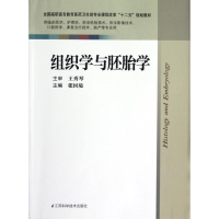 醉染图书组织学与胚胎学/临床/张国境9787534594526