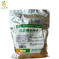 廷豪果 精品睡莲种子 水培植物碗莲种籽 1kg/袋