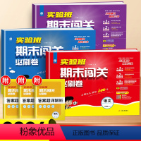 [3本]语文+数学+英语-人教版 三年级下 [正版]2024实验班期末闯关必刷卷提优训练一年级二年级三四五六年级下册同步