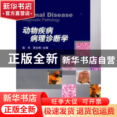 正版 动物疾病病理诊断学 高丰 科学出版社 9787030266538 书籍