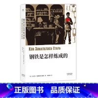 钢铁是怎样炼成的 [正版]钢铁是怎样炼成的 尼古拉·奥斯特洛夫斯基 中文分级阅读八年级 课外读物 俄国长篇小说 世界名著