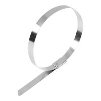 铭达鲁满 不锈钢扎带 10*500mm 根