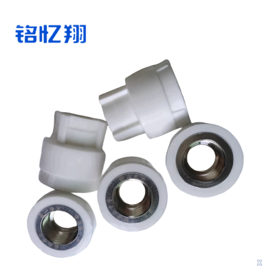 铭忆翔 PPR内丝直接 20mm 个