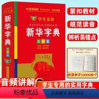 [正版]学生实用 字典大字本 全新小学生 新编实用工具书百科全书小学生词字典国民语文第十二版书店新版