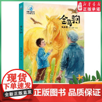 正版大视野 金马驹 彩图插画版 杨老黑全本无删减三四五六年级红色教育读物7-14岁课外阅读版 少年儿童文学神话故事书籍