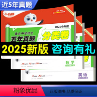 [语数英]真题·分类卷 小学升初中 [正版]2025万唯小升初分类卷数学语文英语真题小学专项训练重点中学分班考试卷小考毕