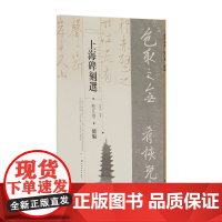 上海碑刻选松江卷续编 孙景宇编著 书法碑帖 上海书画出版社