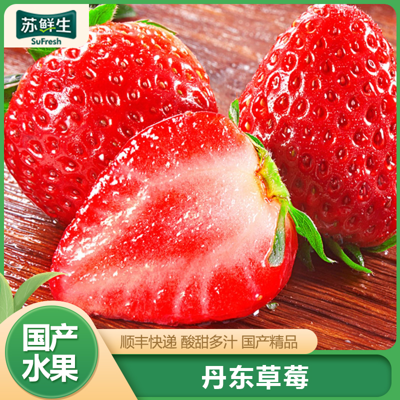 [苏鲜生]顺丰快递 丹东草莓 净重1.8斤 单果15-20g新鲜水果99草莓红颜奶油九九甜牛奶草莓