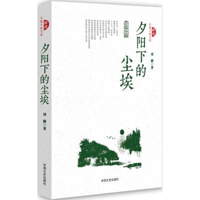 正版新书]夕阳下的尘埃刘刚9787503476402