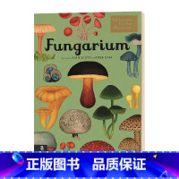 欢迎来到博物馆系列 真菌博物馆 [正版]老虎来喝下午茶 英文原版 The Tiger Who Came to Tea 大