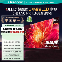 海信电视小墨E5Q Pro 65吋 超画质U+Mini LED 墨晶屏 信芯芯片 300Hz高刷