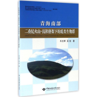 音像青海南部二叠纪火山-沉积格架下的蜓类生物群牛志军,吴俊 著