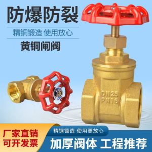 鑫迈凯斯 截止阀 耐高温铜截止阀 DN32 个