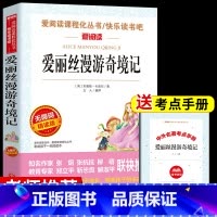 [单册]爱丽丝漫游奇境记 送考试重点 [正版]全套4册 鲁滨逊漂流记原着完整版六年级下册必读书目快乐读书吧课外书爱丽丝漫
