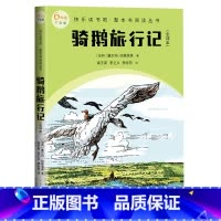 骑鹅旅行记 :全译本 [正版]骑鹅旅行记全译本快乐读书吧整本书阅读丛书塞尔玛拉格洛芙著语文六年级下册配套阅读图书精选精编