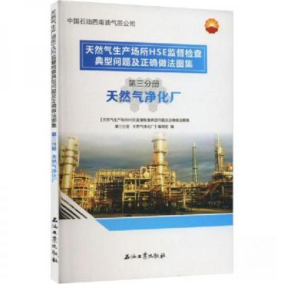 正版新书]天然气生产场所HSE监督检查典型问题及正确做法图集 天