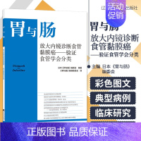 [正版]胃与肠 放大内镜诊断食管黏膜癌 验证食管学会分类 消化道形态学诊断为中心 结合内外科及病理 辽宁科学技术出版社