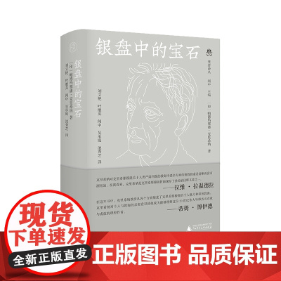 纯粹·梵澄译丛 银盘中的宝石 (印)帕德玛那潘·克里希纳/著 刘文艳等译 闻中主编 回忆录 印度 广西师范大学出版社