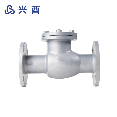 兴酉 铸钢法兰止回阀 DN400 个