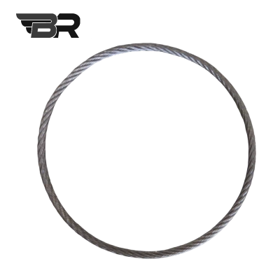 BR 无接头不锈钢圈绳 直径6*1米(周长) 根